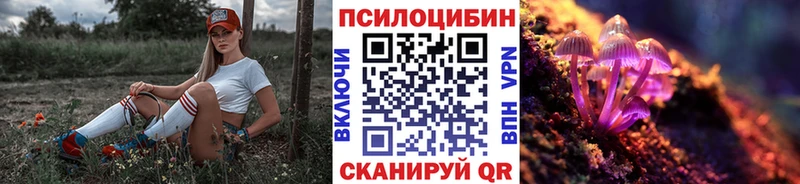 Купить где  Сухой Лог  Псилоцибиновые грибы Magic Shrooms 
