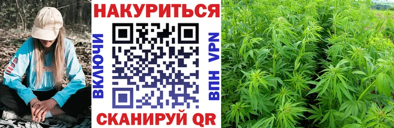 Конопля Bruce Banner  Купить  Сухой Лог 